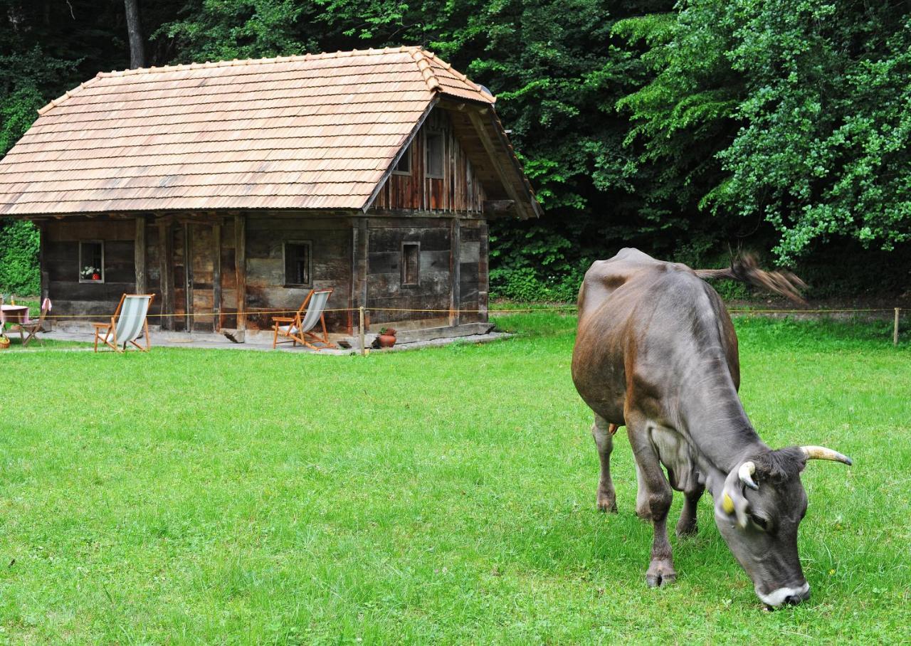 Domacija Seruga Countryside Hotel Novo Mesto Kültér fotó