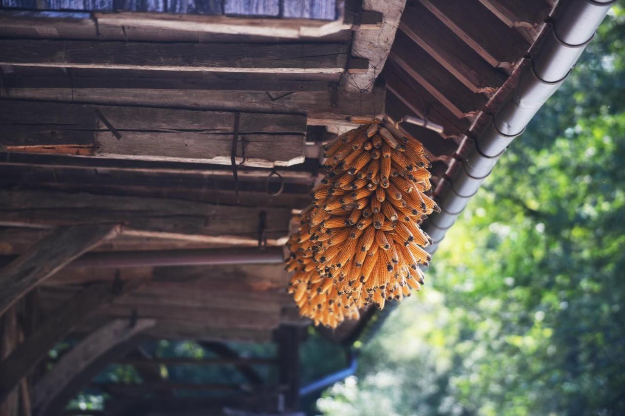 Domacija Seruga Countryside Hotel Novo Mesto Kültér fotó