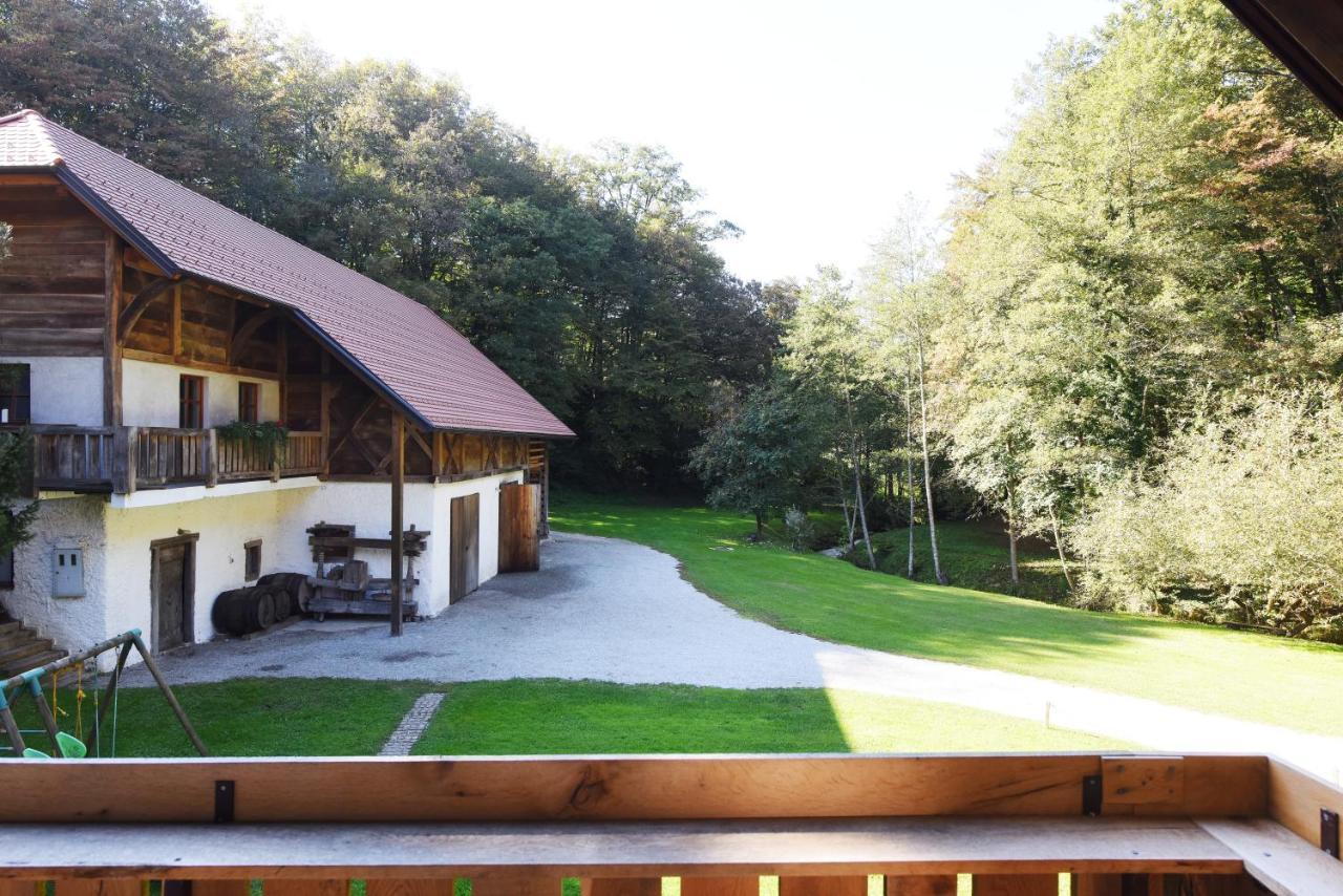 Domacija Seruga Countryside Hotel Novo Mesto Kültér fotó