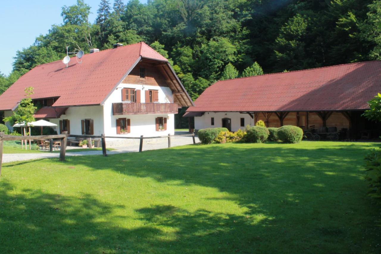 Domacija Seruga Countryside Hotel Novo Mesto Kültér fotó